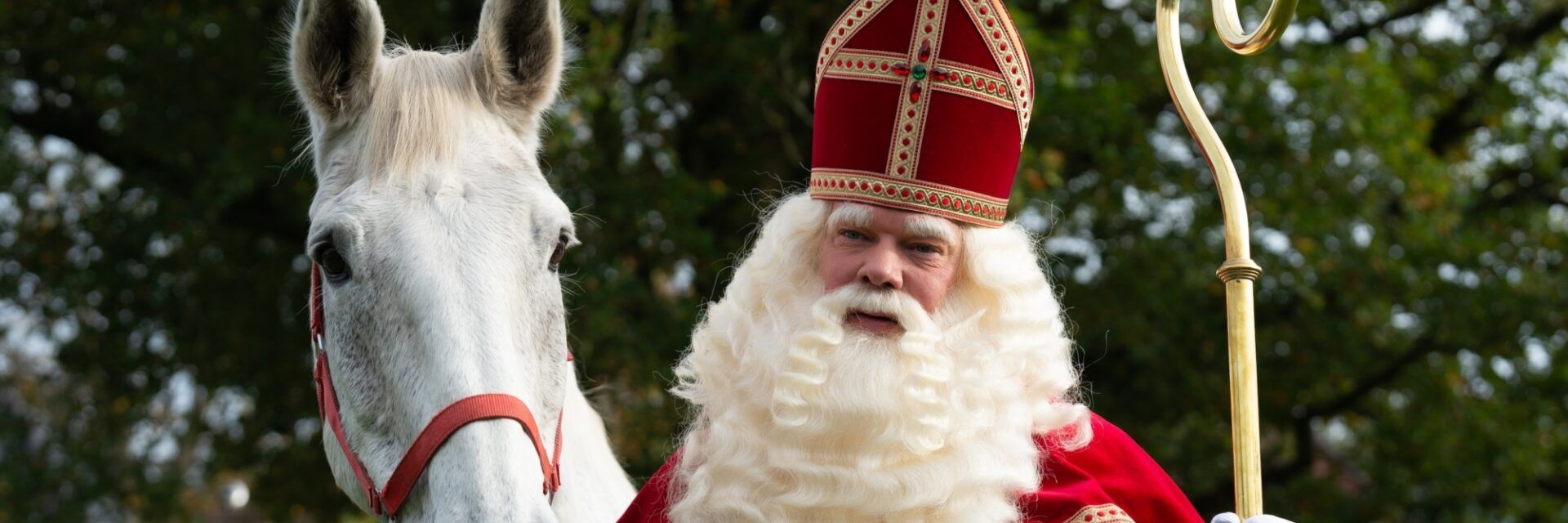 Sinterklaas-shutterstock_2248356787-kopie.jpg